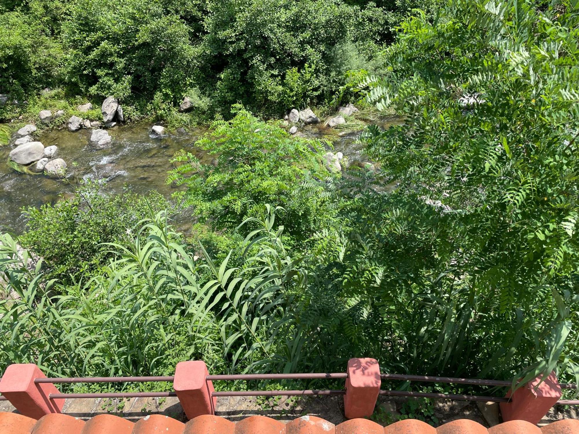 Agriturismo Del Gao Isolabona Eksteriør bilde